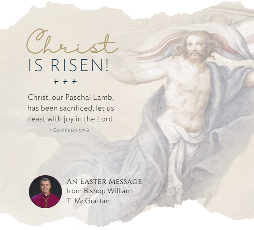http://www.catholicyyc.ca/uploads/6/5/5/7/65570685/published/easter-message-bpmg2022.png?1650297452